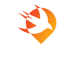 شروط الاستخدام